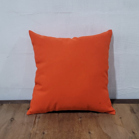 Square Throw Cushion