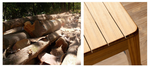 The Nature Outdoor Collection